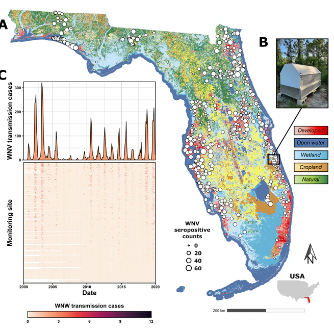 Toward ecological forecasting of West Nile virus in Florida: Insights from two decades of sentinel chicken surveillance