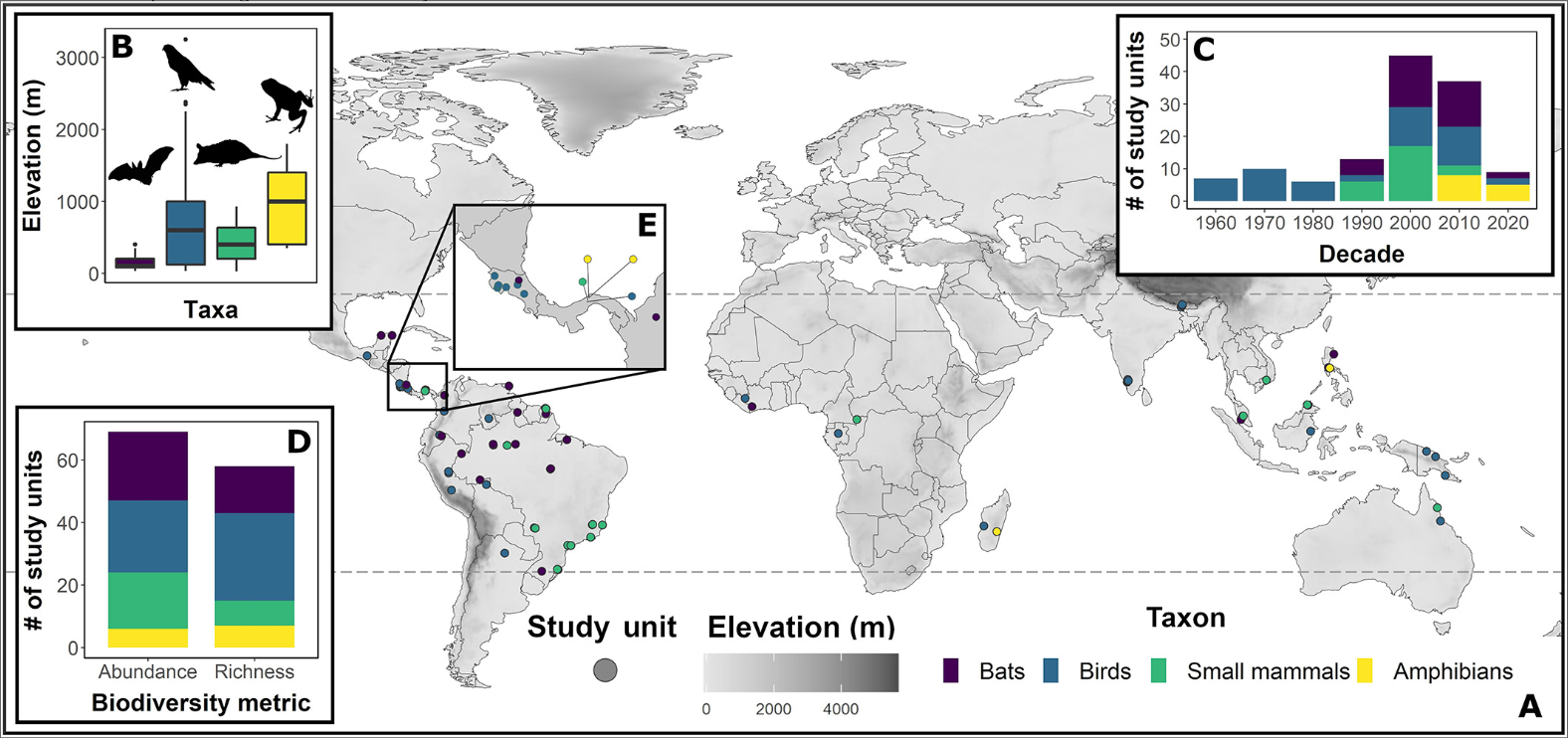Vertical stratification patterns of tropical forest vertebrates