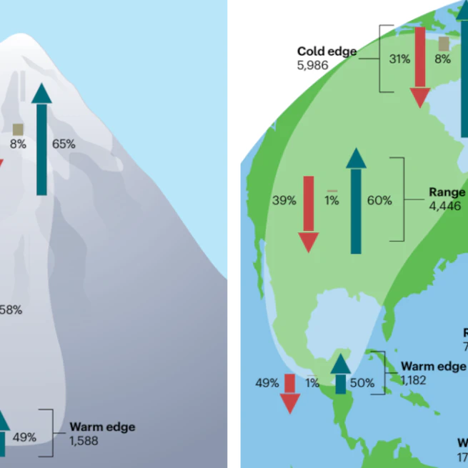 Mechanisms, detection and impacts of species redistribution under climate change