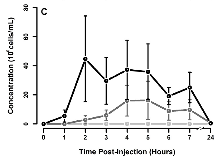 Cryopreservation and hormonal induction of spermic urine in smooth-sided toads