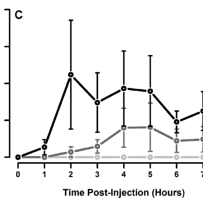 Cryopreservation and hormonal induction of spermic urine in smooth-sided toads
